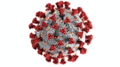 SARS-COV-2 / COVID-19 Virus