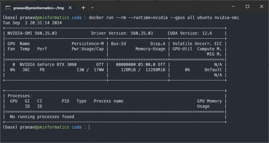 nvidia smi docker